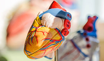 doctorpaya cardiology